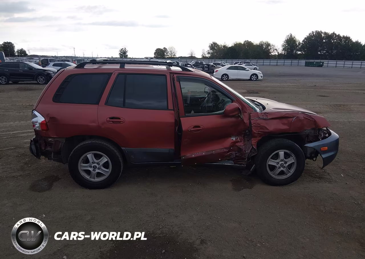 2003 Hyundai Santa Fe Gls-Lx VIN:KM8SC13D93U417985 - 13