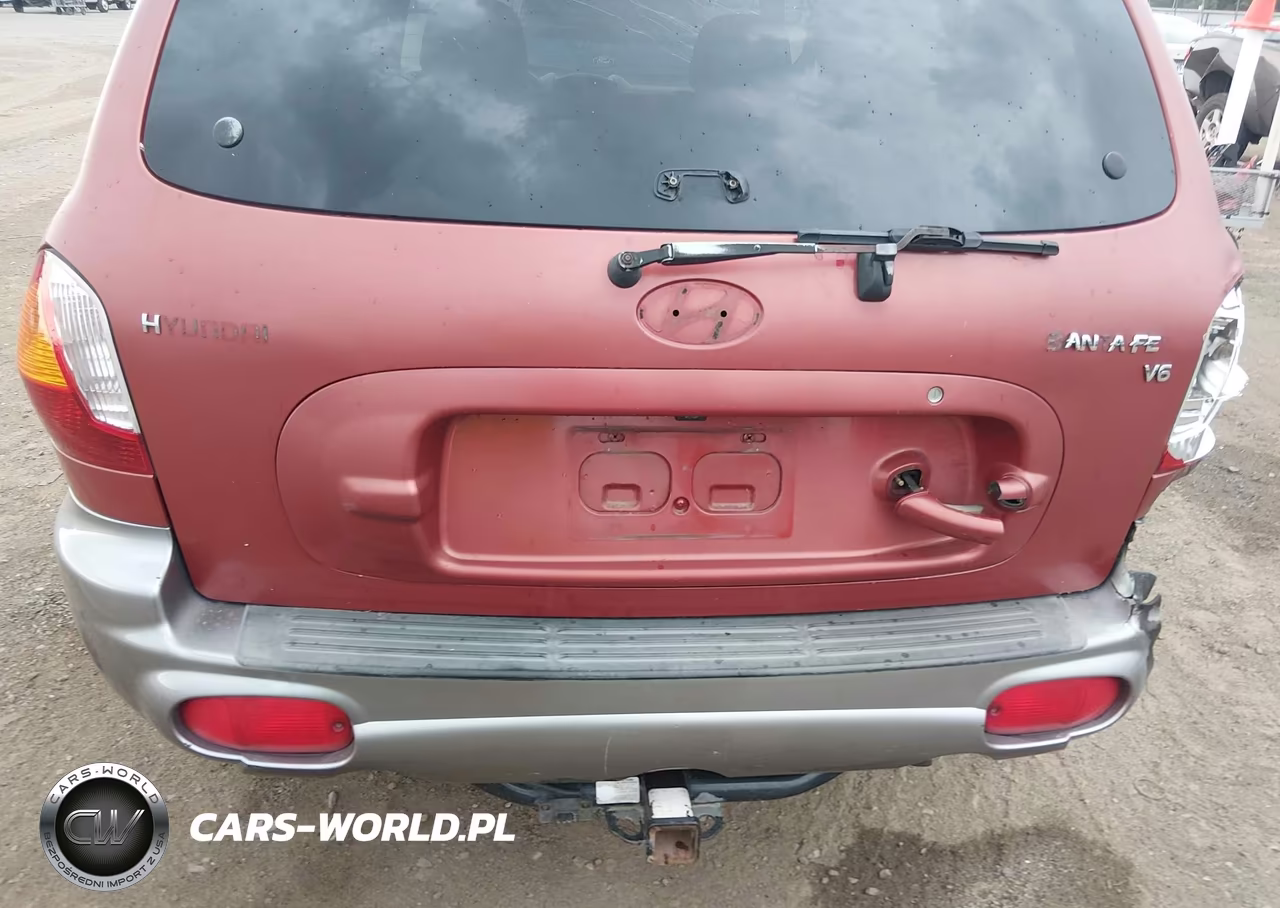 2003 Hyundai Santa Fe Gls-Lx VIN:KM8SC13D93U417985 - 20