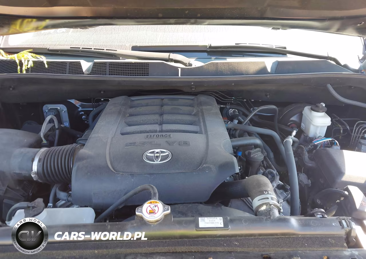 2021 Toyota Tundra Trd Pro VIN:5TFDY5F14MX003388 - 10