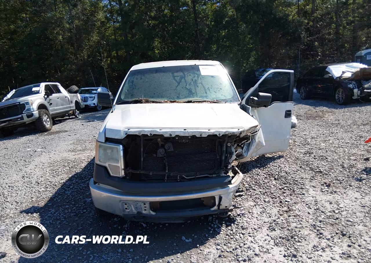2012 Ford F-150 Xl VIN:1FTFX1EF2CFC61527 - 12