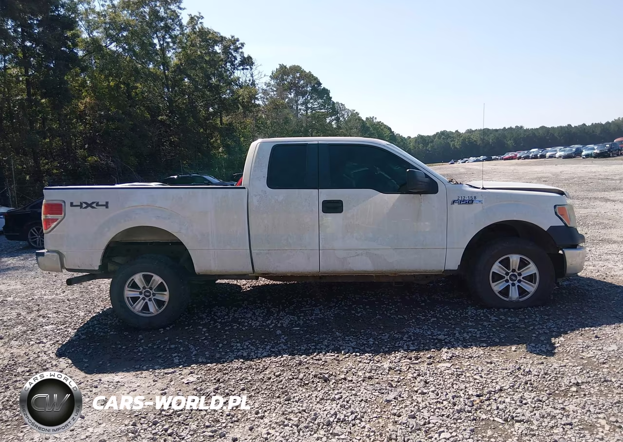 2012 Ford F-150 Xl VIN:1FTFX1EF2CFC61527 - 13