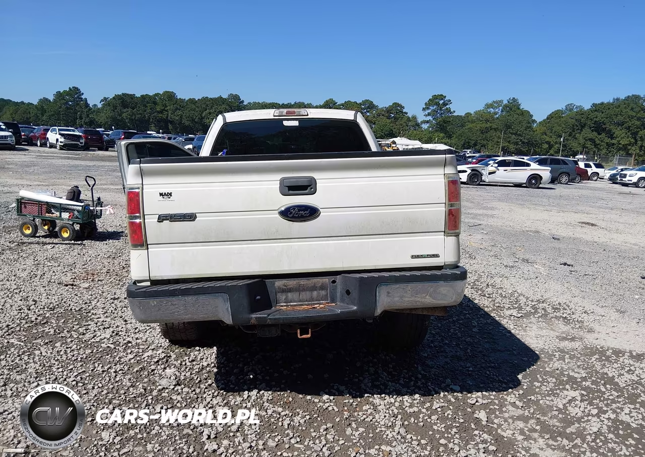 2012 Ford F-150 Xl VIN:1FTFX1EF2CFC61527 - 16