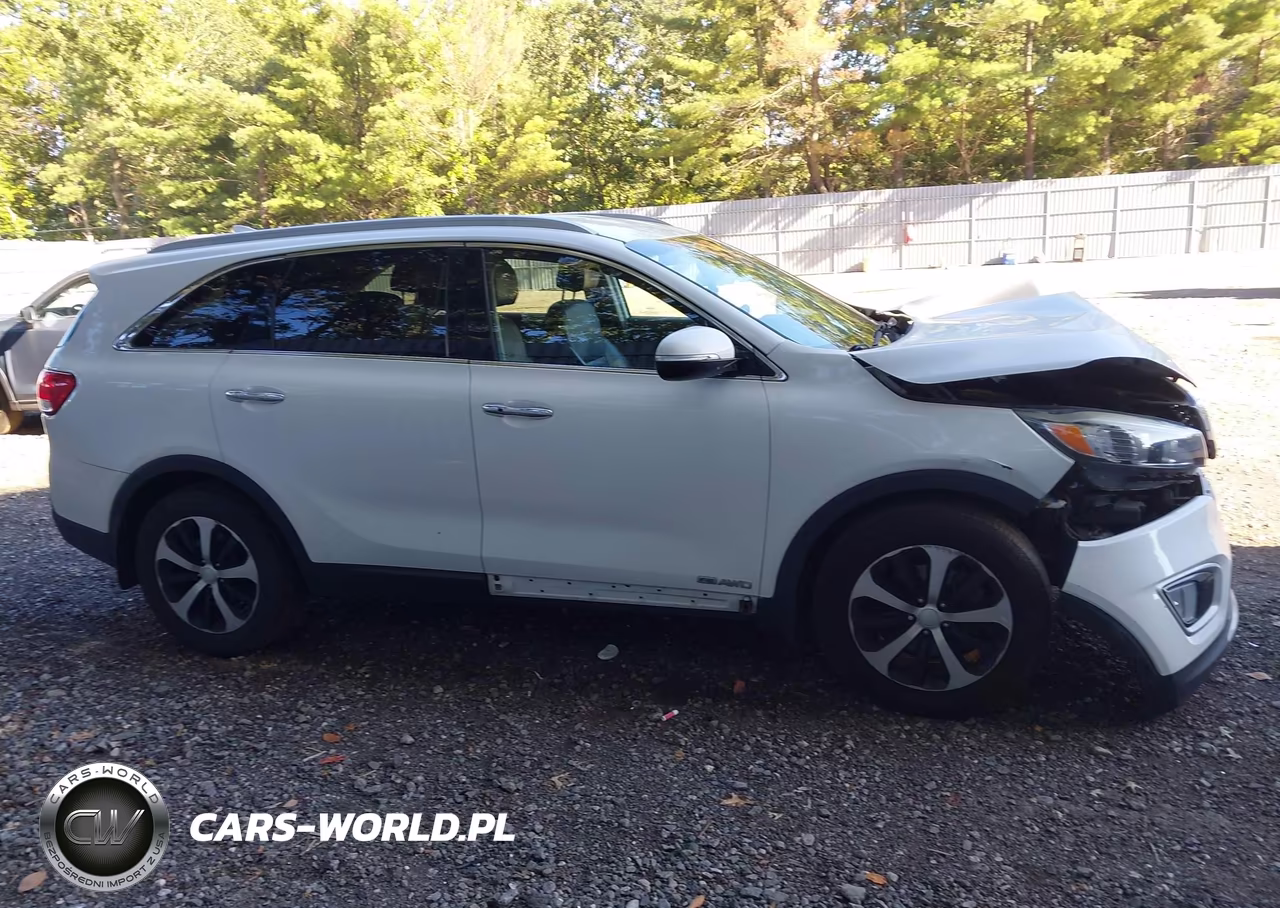 2018 Kia Sorento 3.3L Ex VIN:5XYPHDA54JG374549 - 13