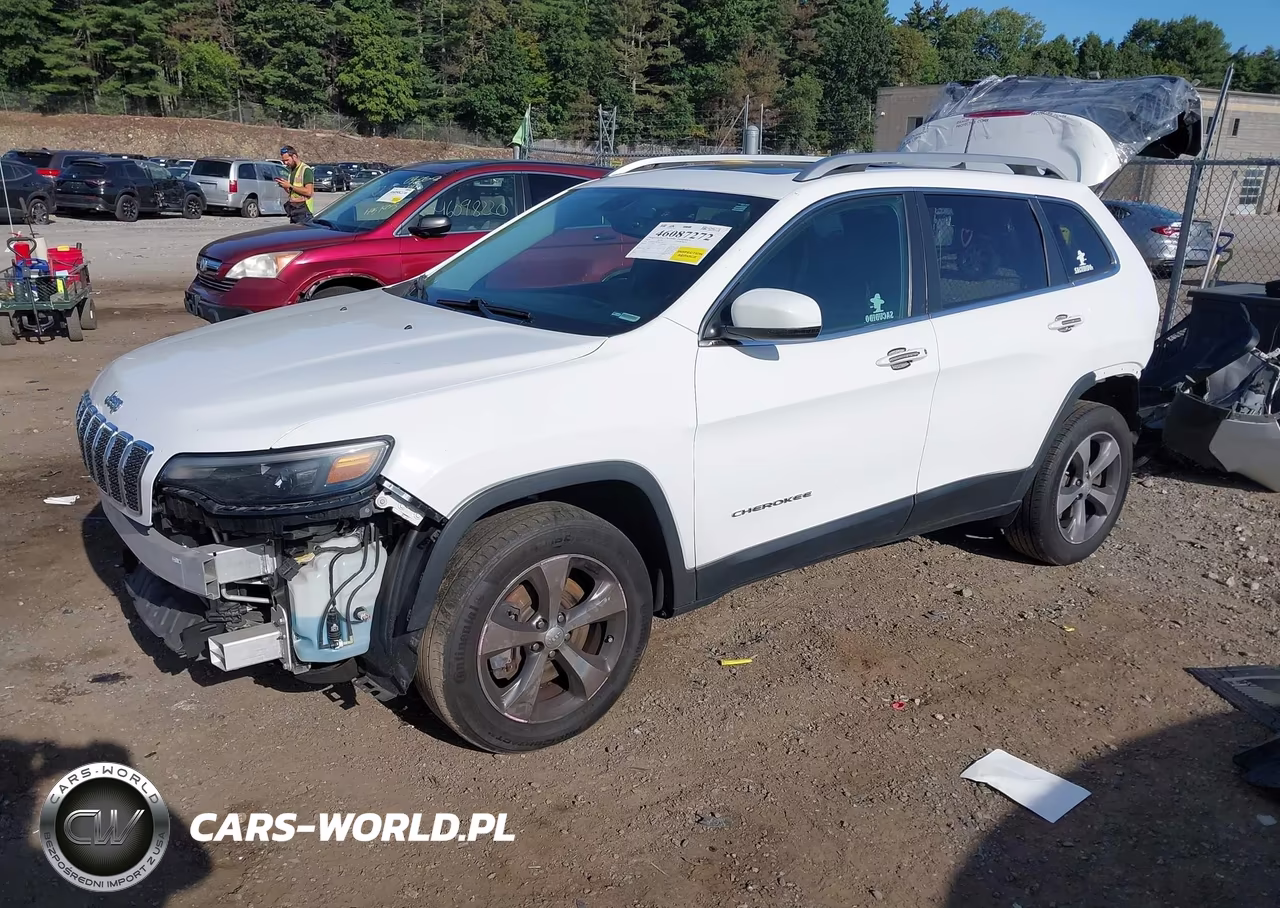 2019 Jeep Cherokee Limited 4X4 VIN:1C4PJMDX2KD163156 - 2