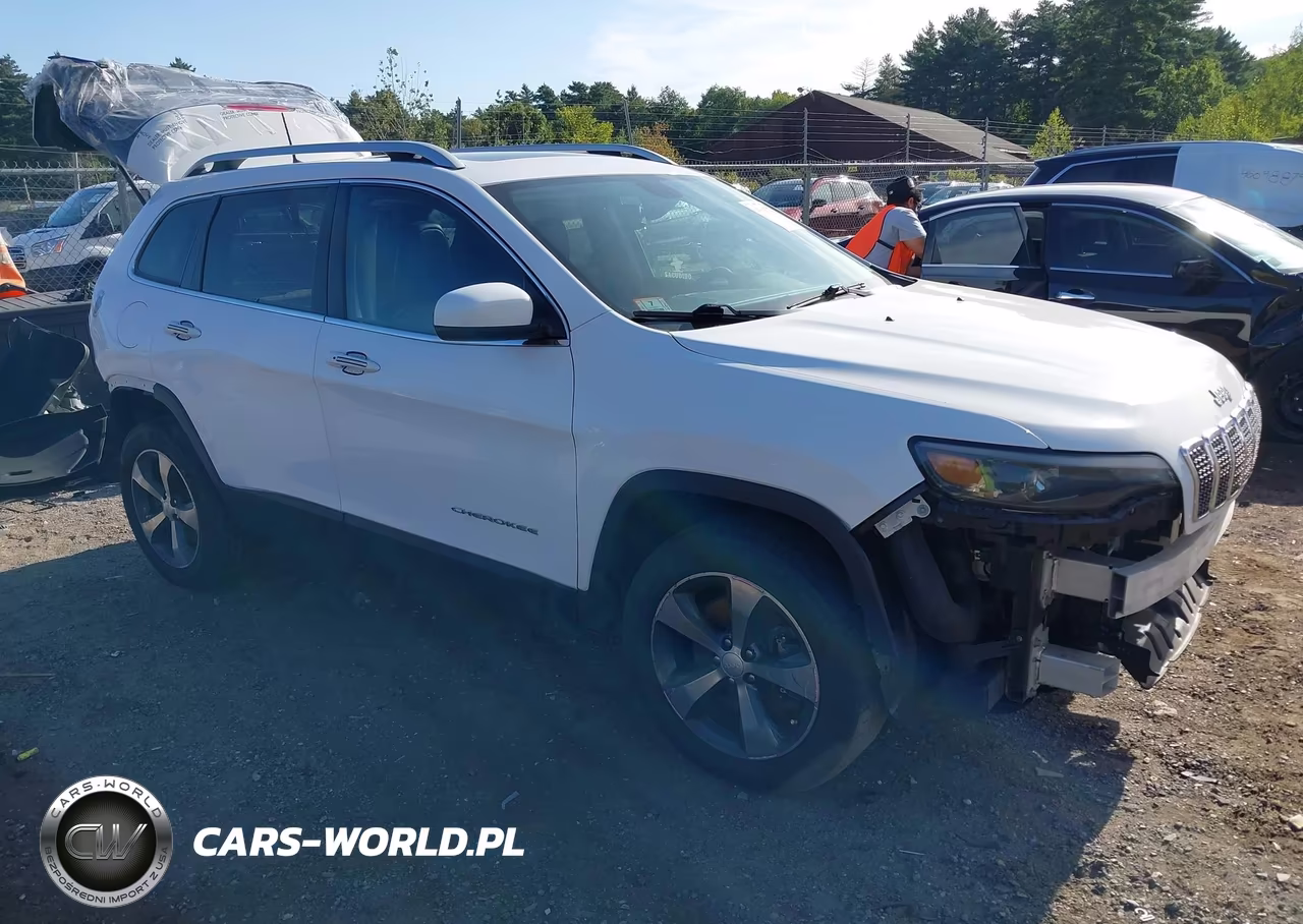 2019 Jeep Cherokee Limited 4X4 VIN:1C4PJMDX2KD163156 - 3