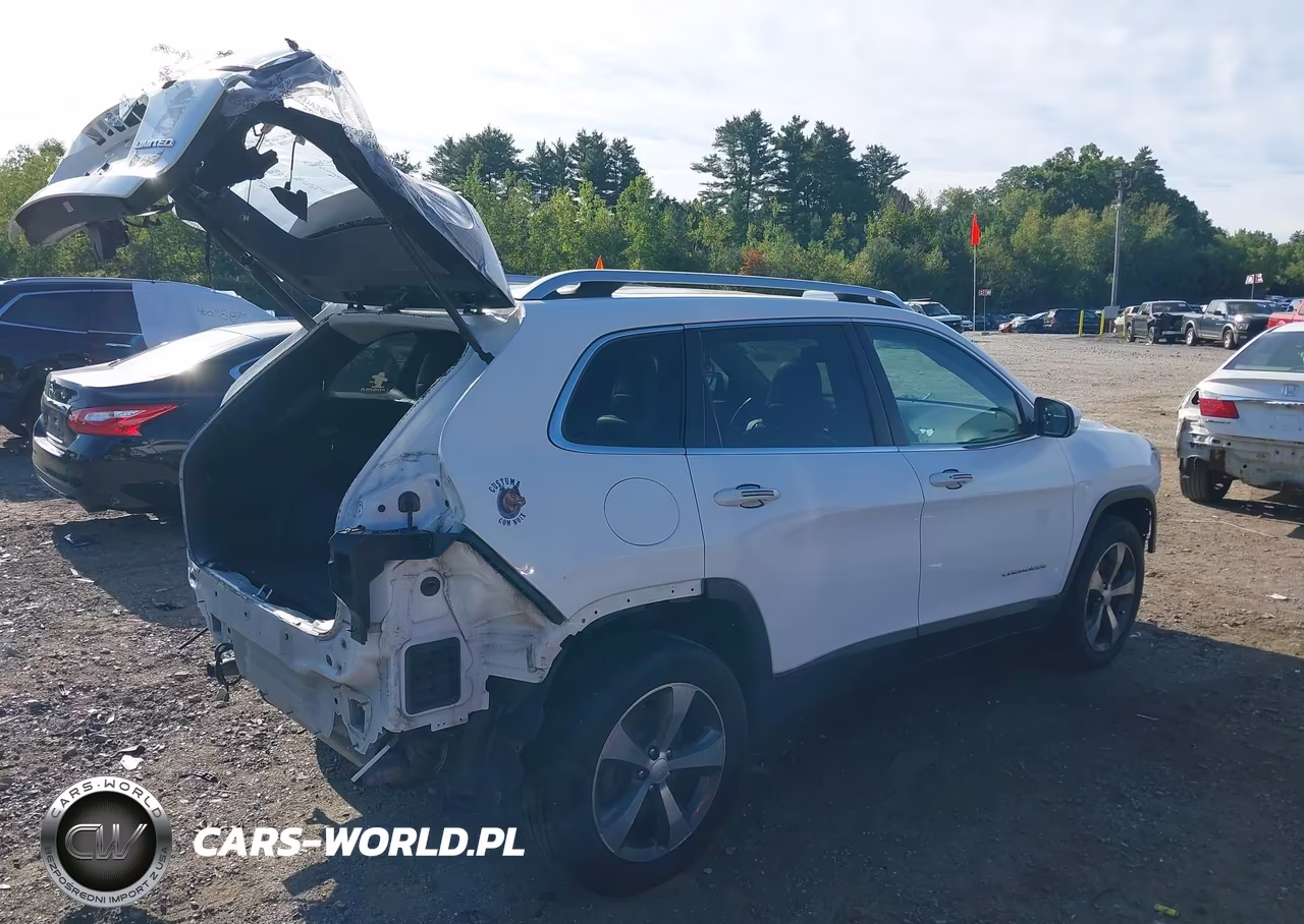 2019 Jeep Cherokee Limited 4X4 VIN:1C4PJMDX2KD163156 - 4
