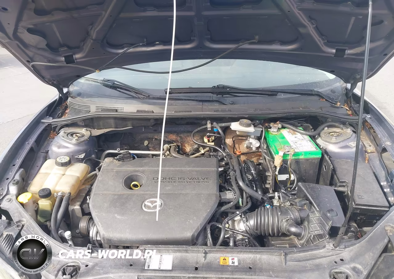 2009 Mazda Mazda3 I VIN:JM1BK32G191223153 - 10