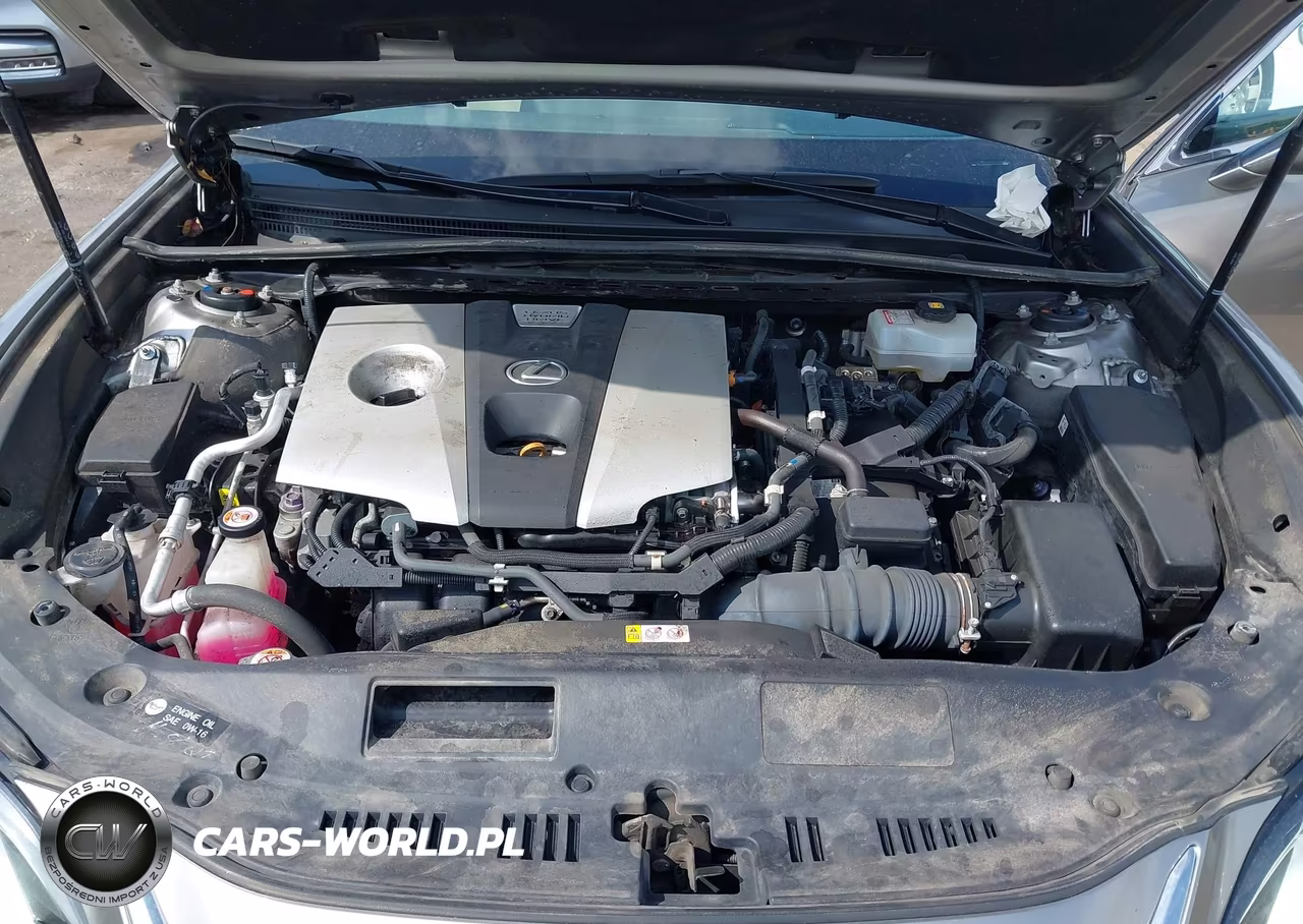 2020 Lexus Es 300H VIN:58AD21B19LU005433 - 10