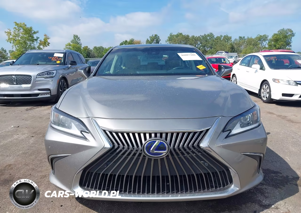 2020 Lexus Es 300H VIN:58AD21B19LU005433 - 12