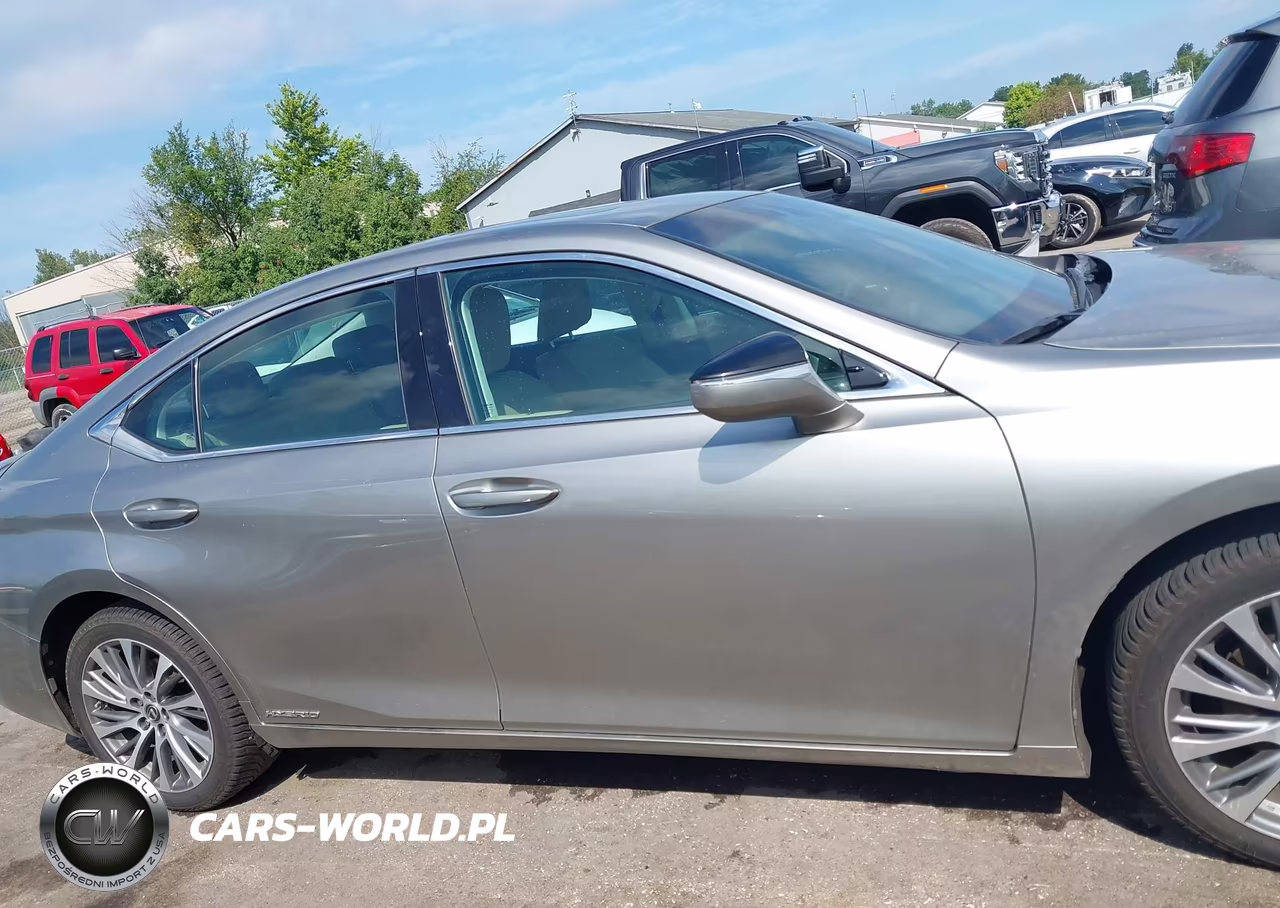 2020 Lexus Es 300H VIN:58AD21B19LU005433 - 13