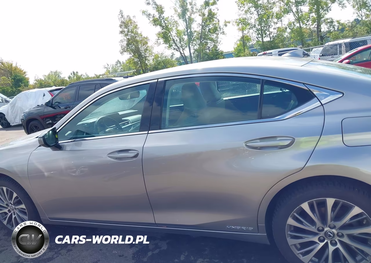 2020 Lexus Es 300H VIN:58AD21B19LU005433 - 14
