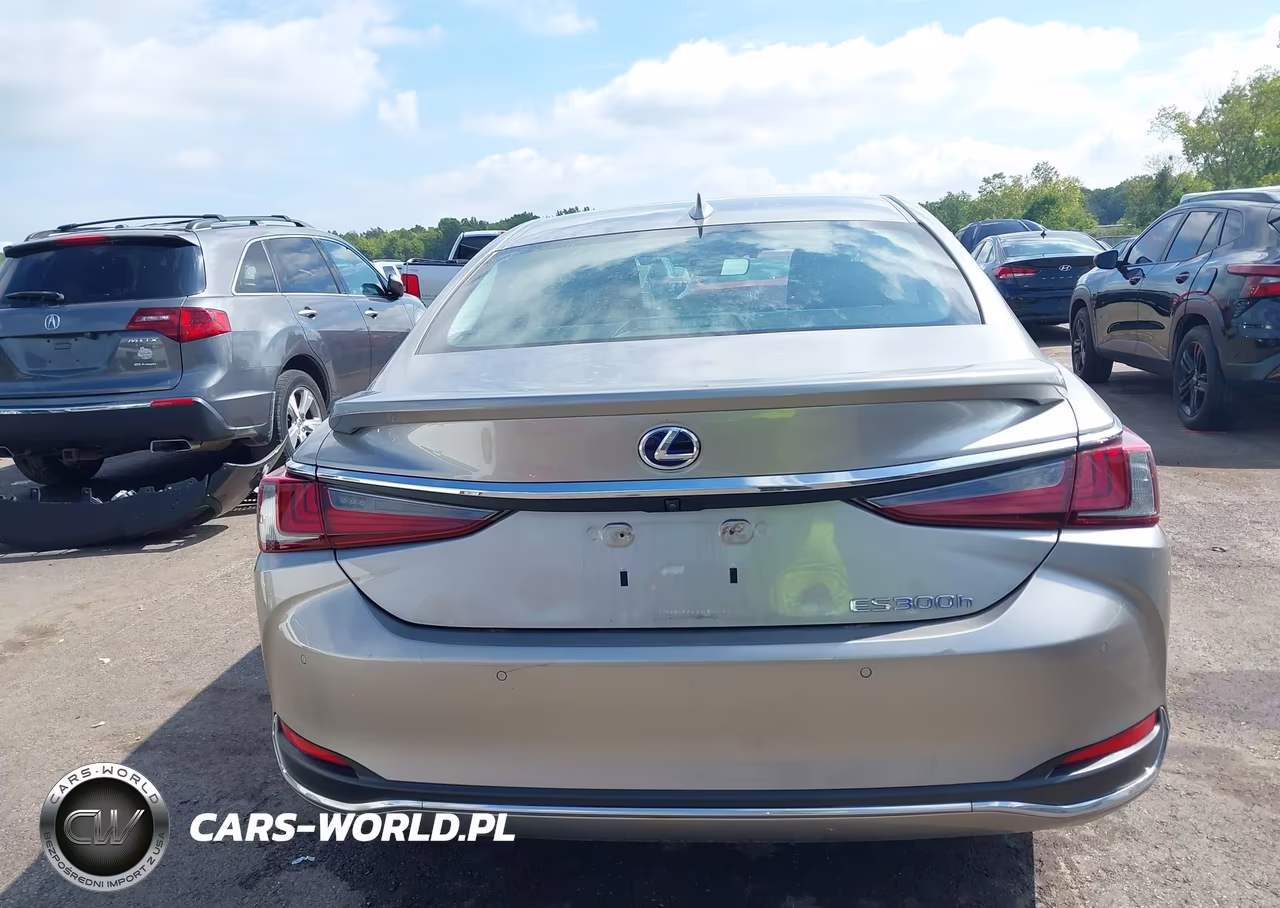 2020 Lexus Es 300H VIN:58AD21B19LU005433 - 16