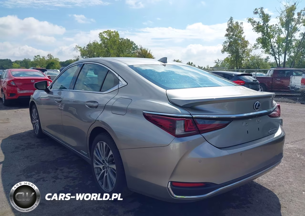 2020 Lexus Es 300H VIN:58AD21B19LU005433 - 3