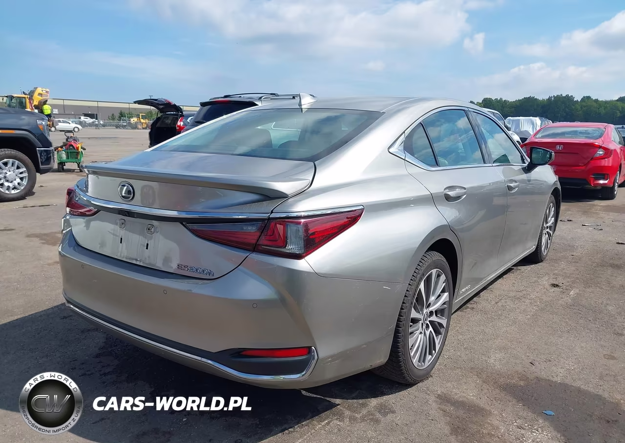 2020 Lexus Es 300H VIN:58AD21B19LU005433 - 4