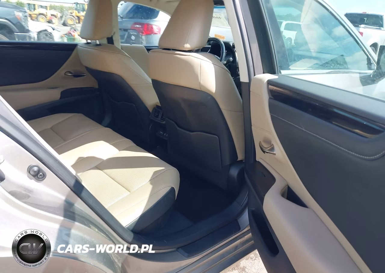 2020 Lexus Es 300H VIN:58AD21B19LU005433 - 8
