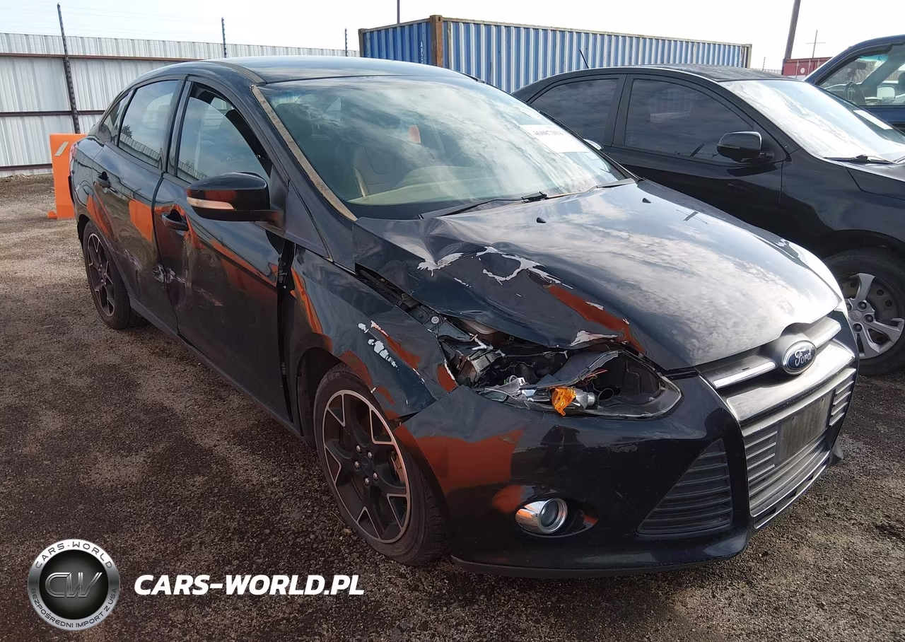 2014 Ford Focus Se VIN:1FADP3F25EL316691 - 1