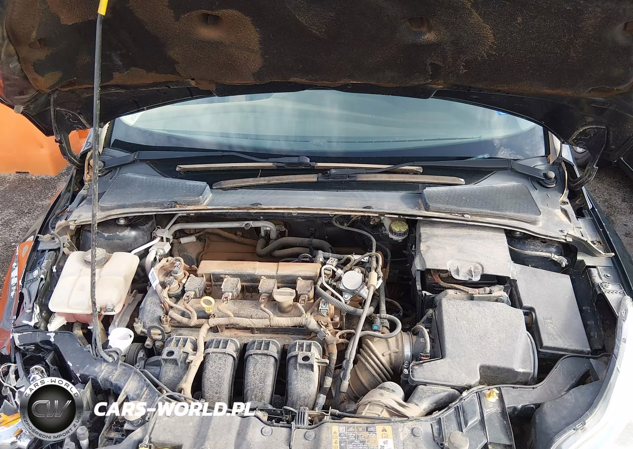 2014 Ford Focus Se VIN:1FADP3F25EL316691 - 10