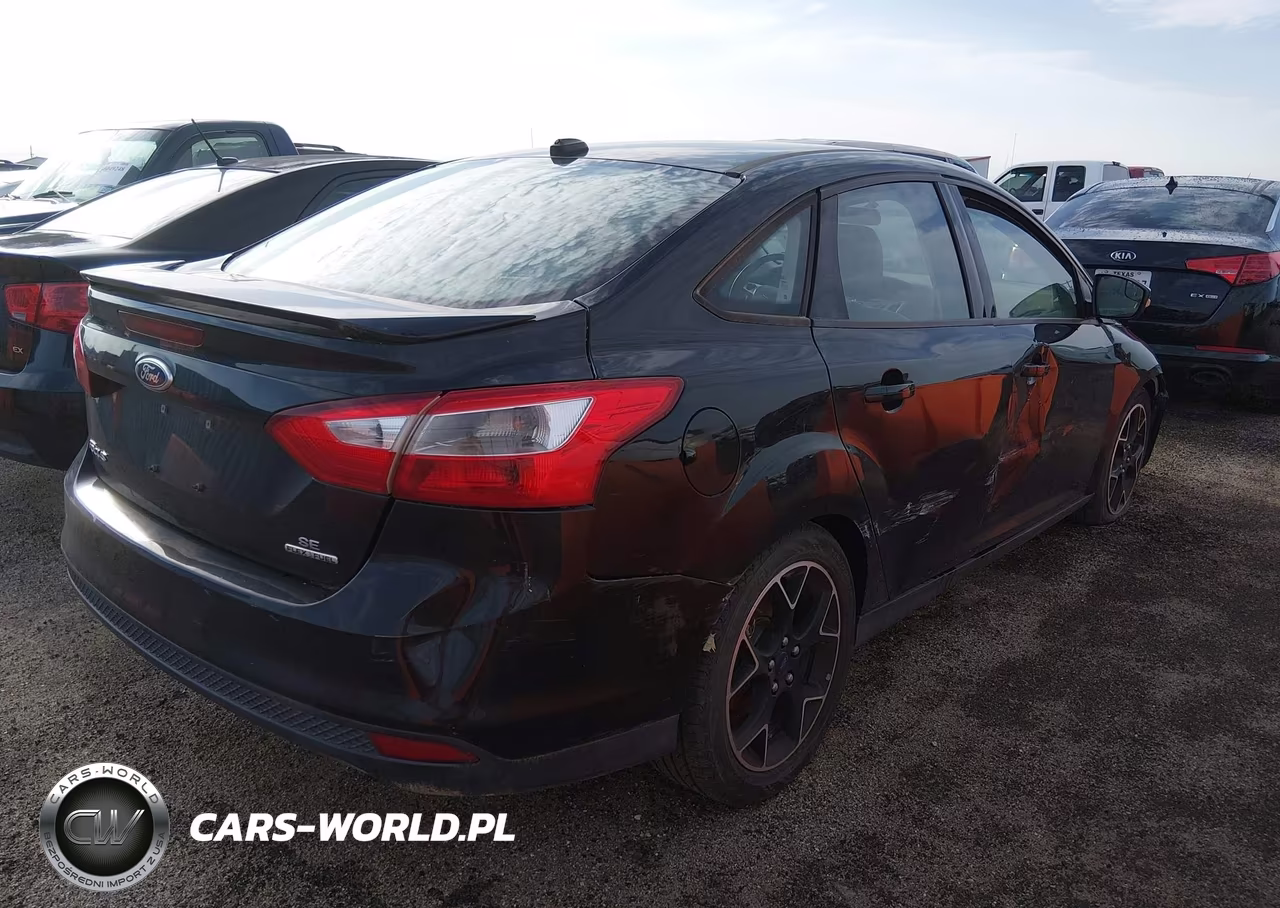 2014 Ford Focus Se VIN:1FADP3F25EL316691 - 4