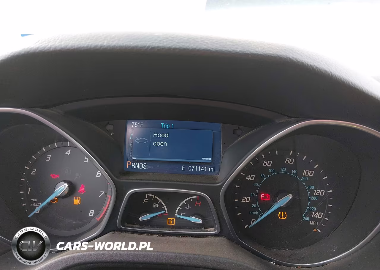 2014 Ford Focus Se VIN:1FADP3F25EL316691 - 7
