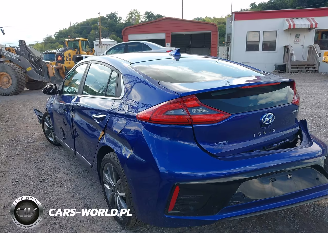 2019 Hyundai Ioniq Hybrid Limited VIN:KMHC05LCXKU137213 - 3