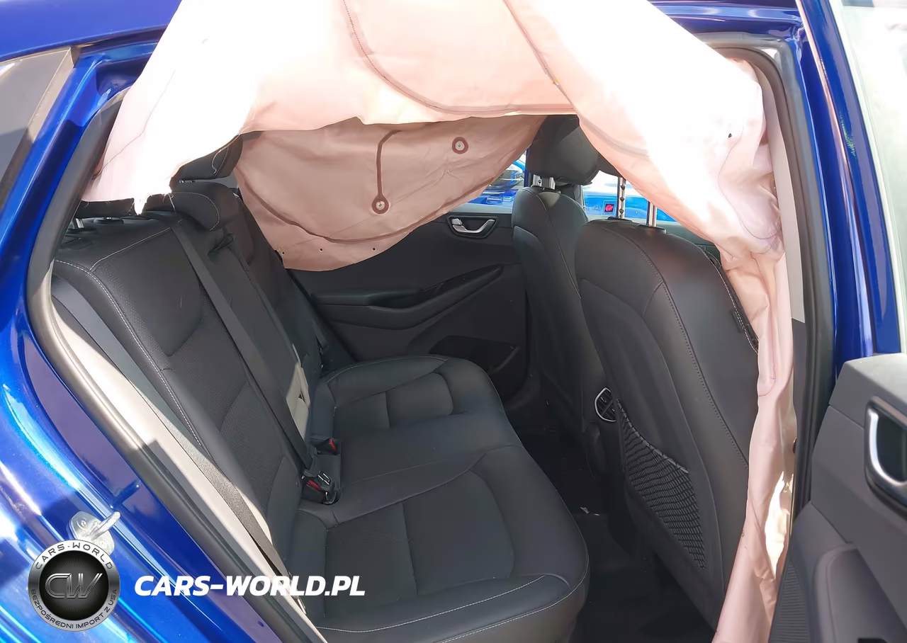 2019 Hyundai Ioniq Hybrid Limited VIN:KMHC05LCXKU137213 - 8