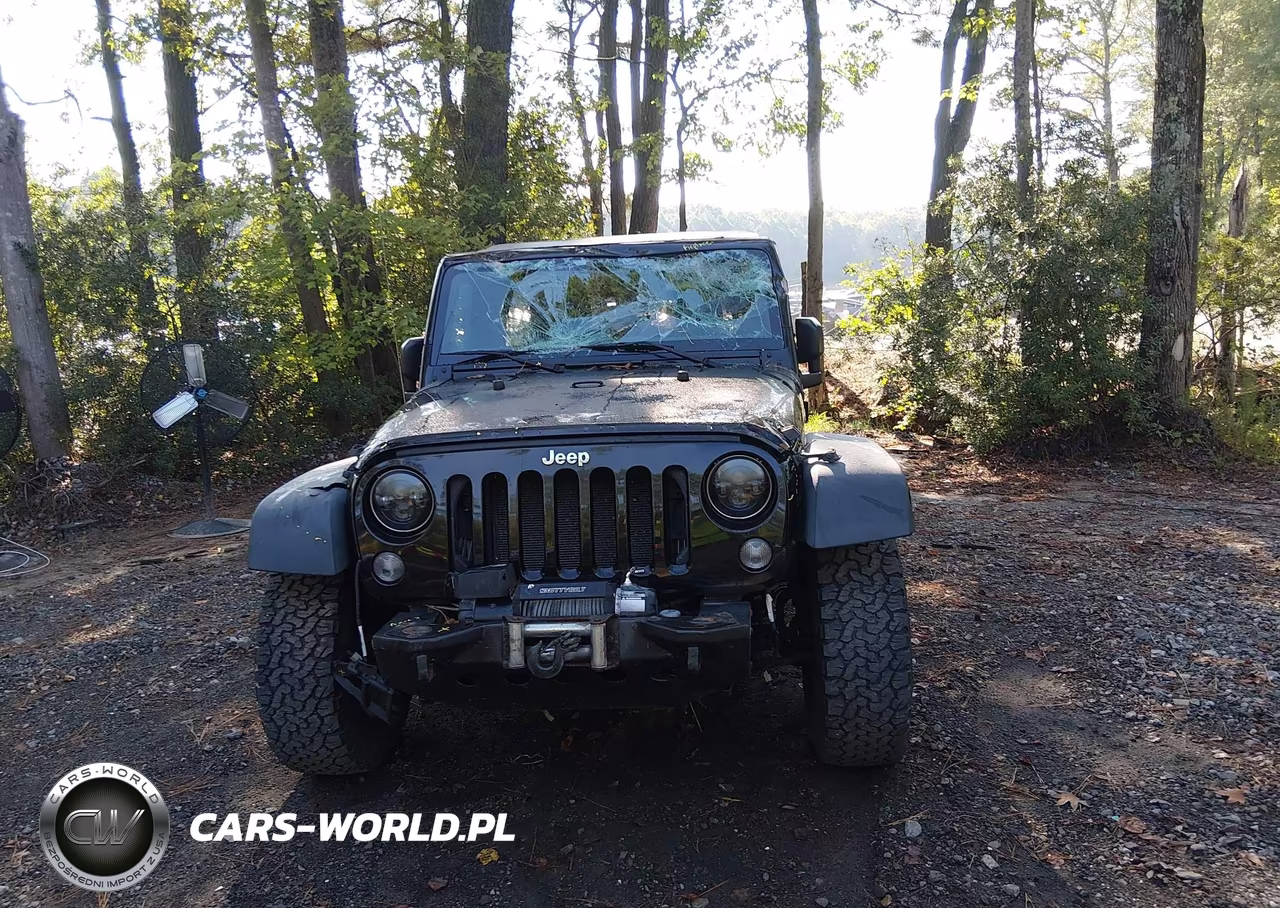 2015 Jeep Wrangler Unlimited Sport VIN:1C4BJWDG4FL668956 - 12
