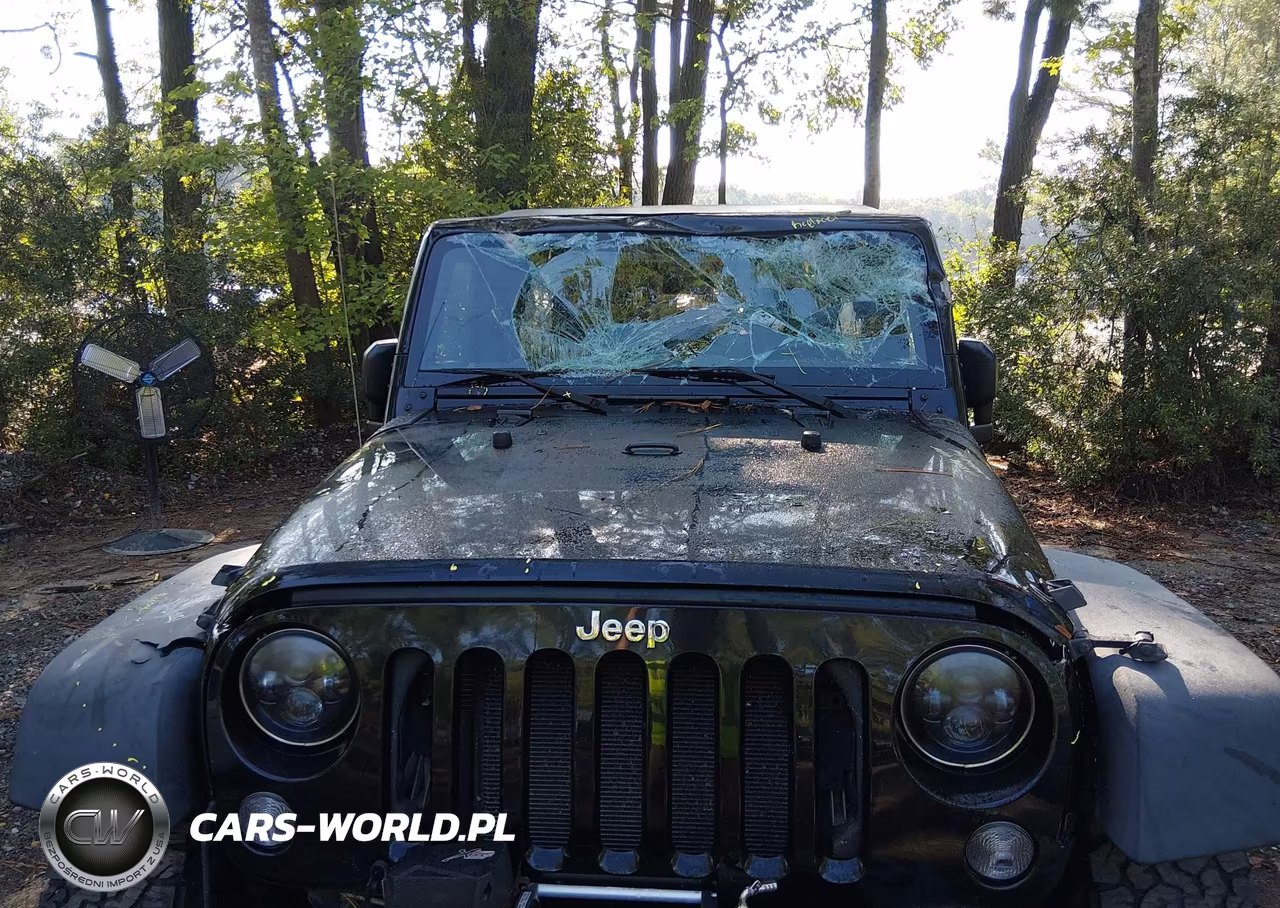 2015 Jeep Wrangler Unlimited Sport VIN:1C4BJWDG4FL668956 - 6