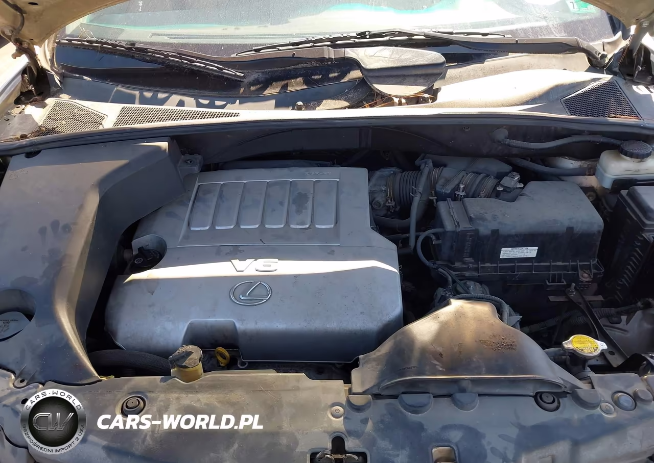2007 Lexus Rx 350 VIN:2T2HK31U77C020497 - 10