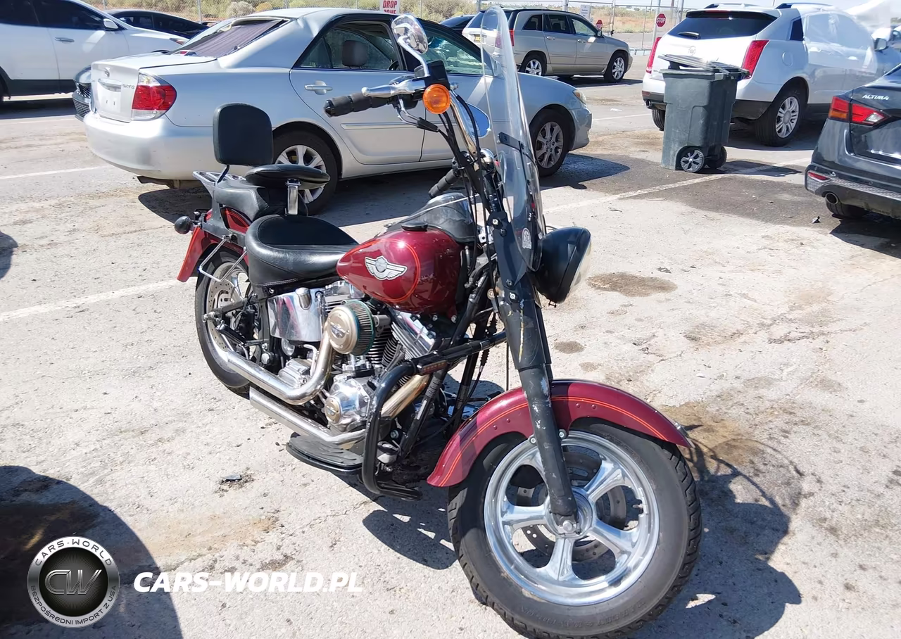 2003 Harley-Davidson Flstfi
