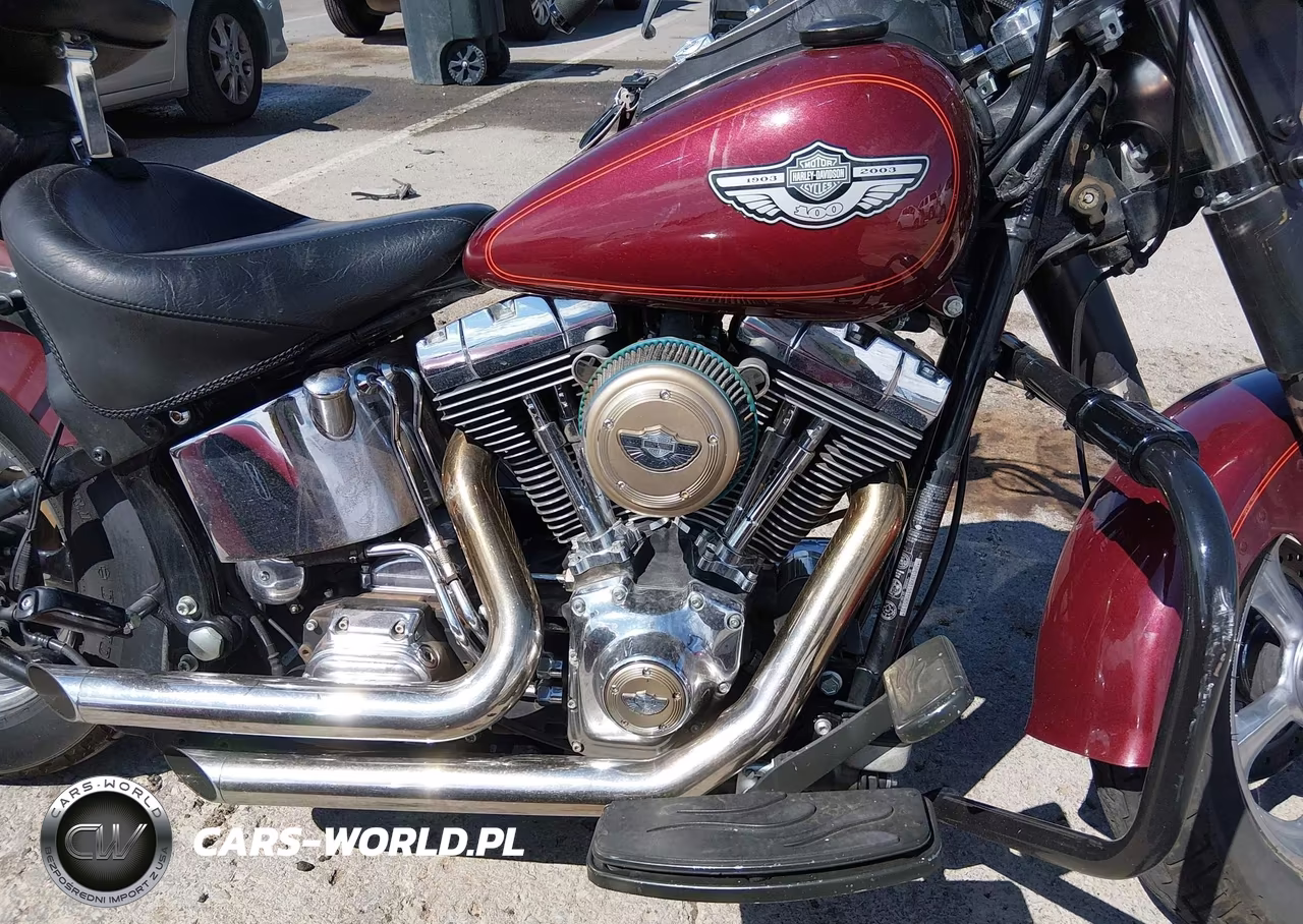 2003 Harley-Davidson Flstfi VIN:5HD1BXB153Y065131 - 8