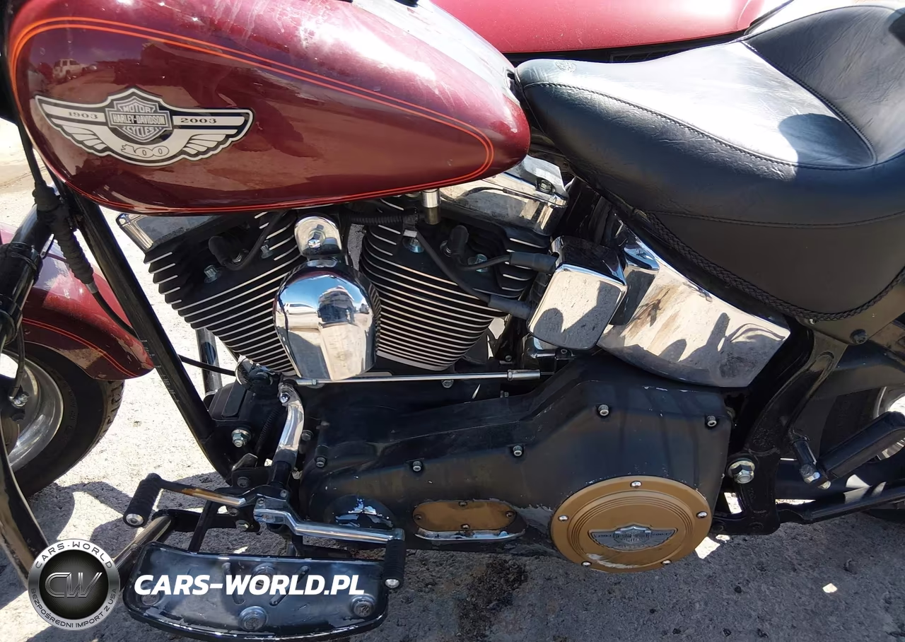2003 Harley-Davidson Flstfi VIN:5HD1BXB153Y065131 - 9
