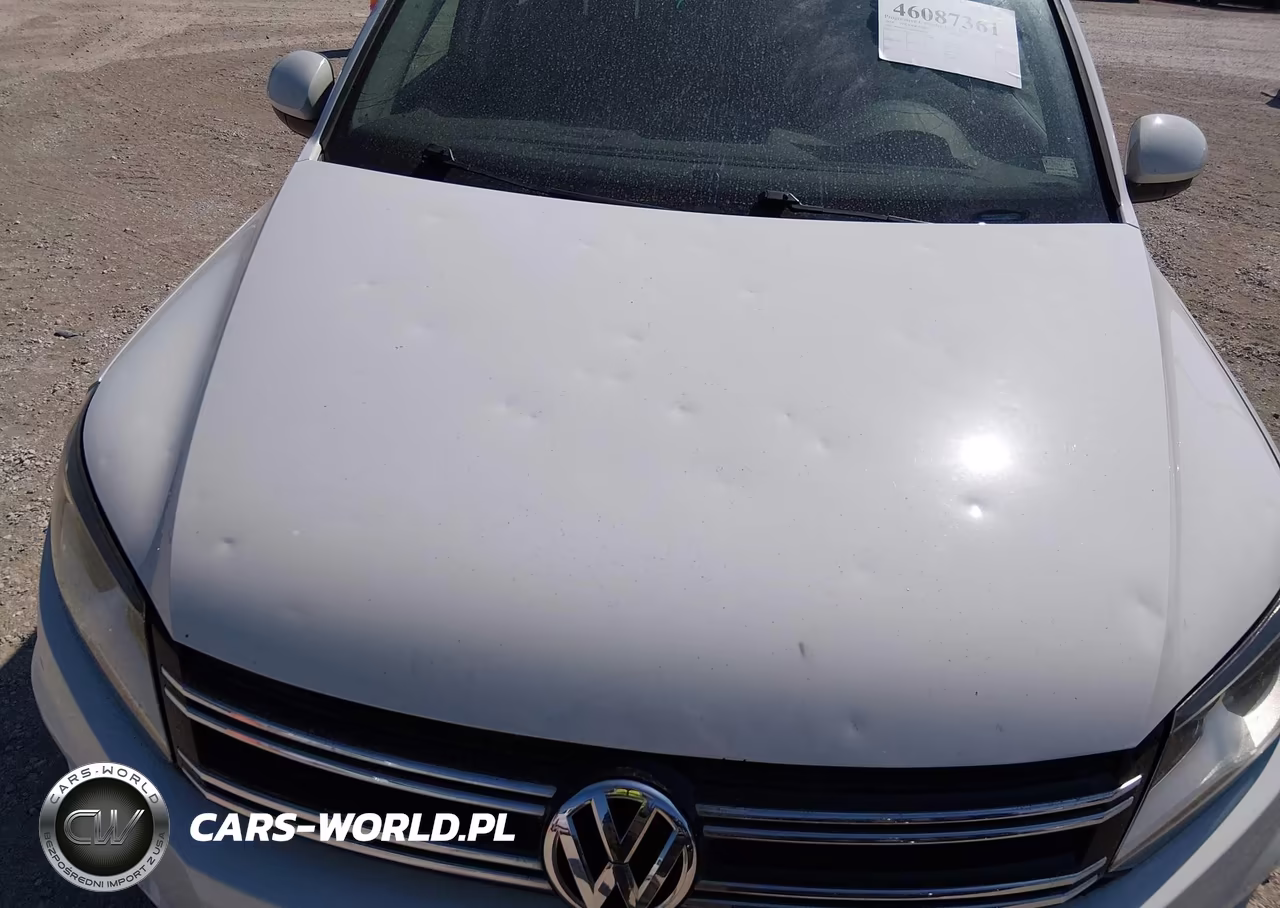 2016 Volkswagen Tiguan S VIN:WVGAV7AX3GW006386 - 6
