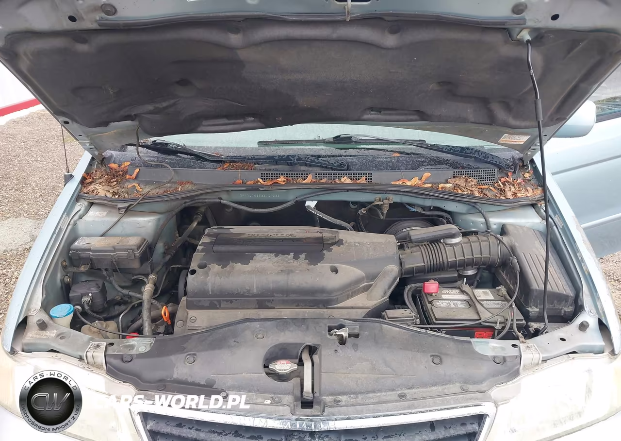 2003 Honda Odyssey Ex VIN:5FNRL18653B121335 - 10