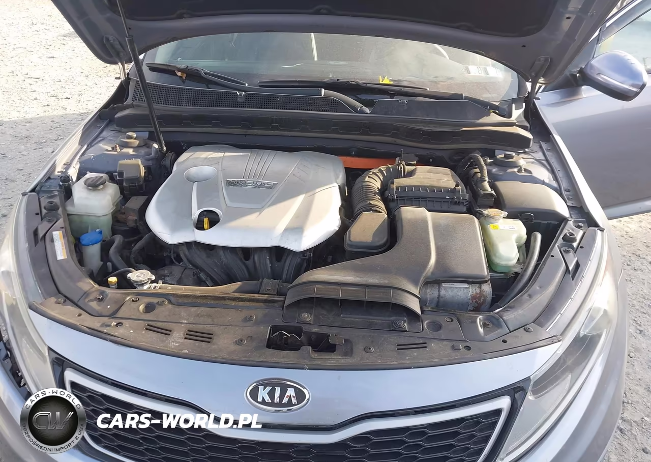 2011 Kia Optima Hybrid VIN:KNAGM4AD2B5000449 - 10