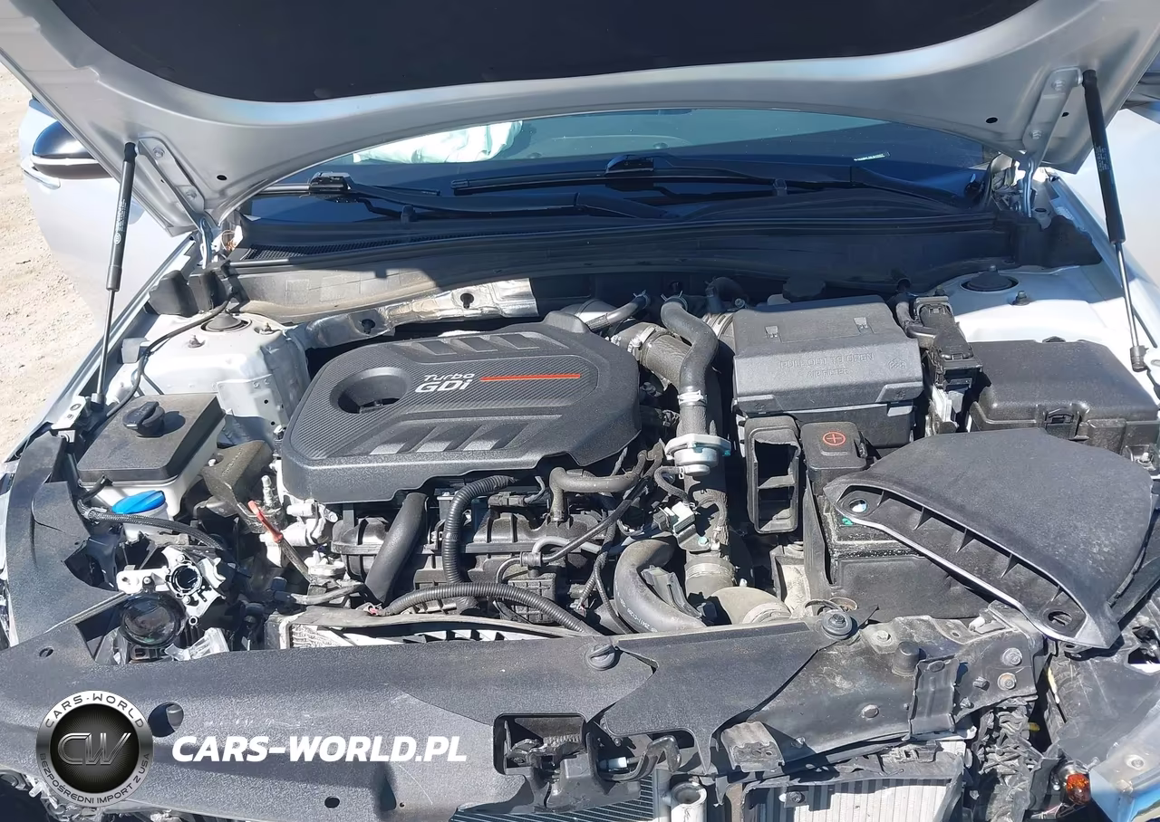 2020 Kia Optima Sx Turbo VIN:5XXGW4L20LG415517 - 10