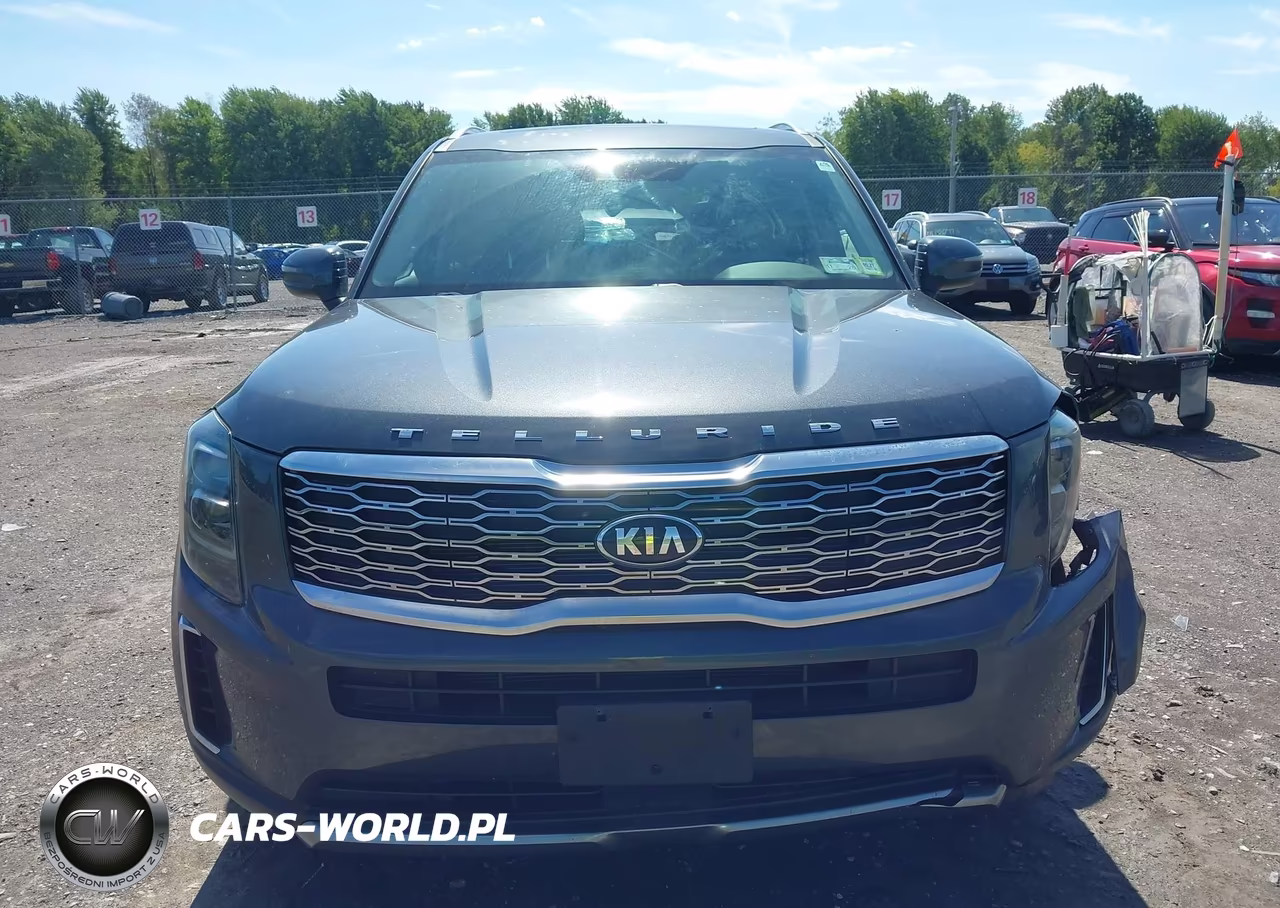 2021 Kia Telluride Ex VIN:5XYP3DHC1MG182156 - 12