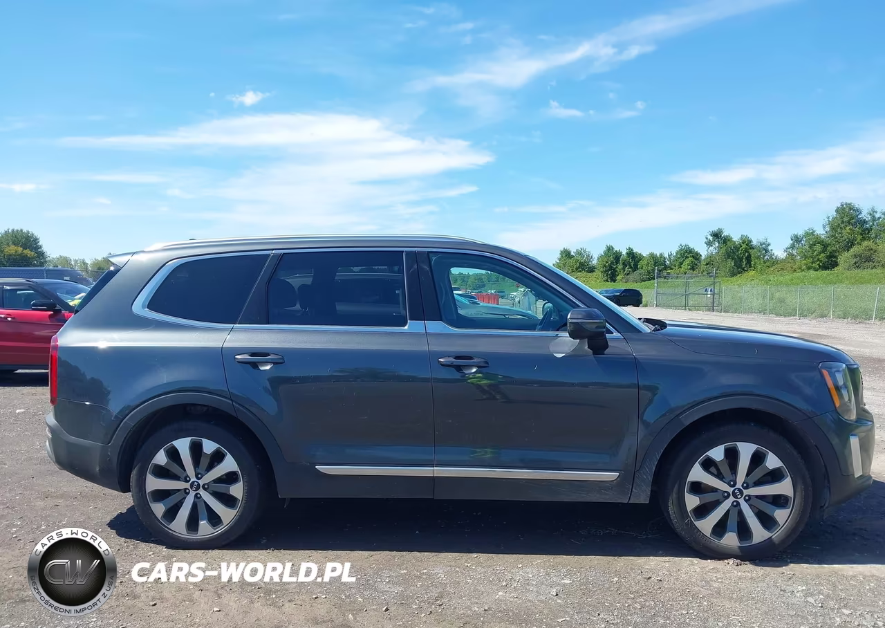 2021 Kia Telluride Ex VIN:5XYP3DHC1MG182156 - 13