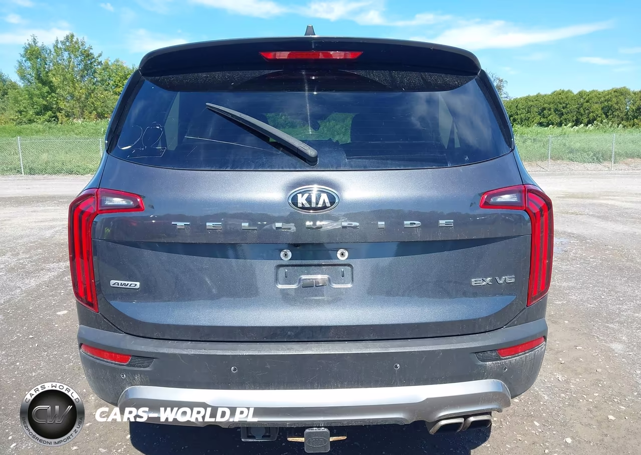2021 Kia Telluride Ex VIN:5XYP3DHC1MG182156 - 16