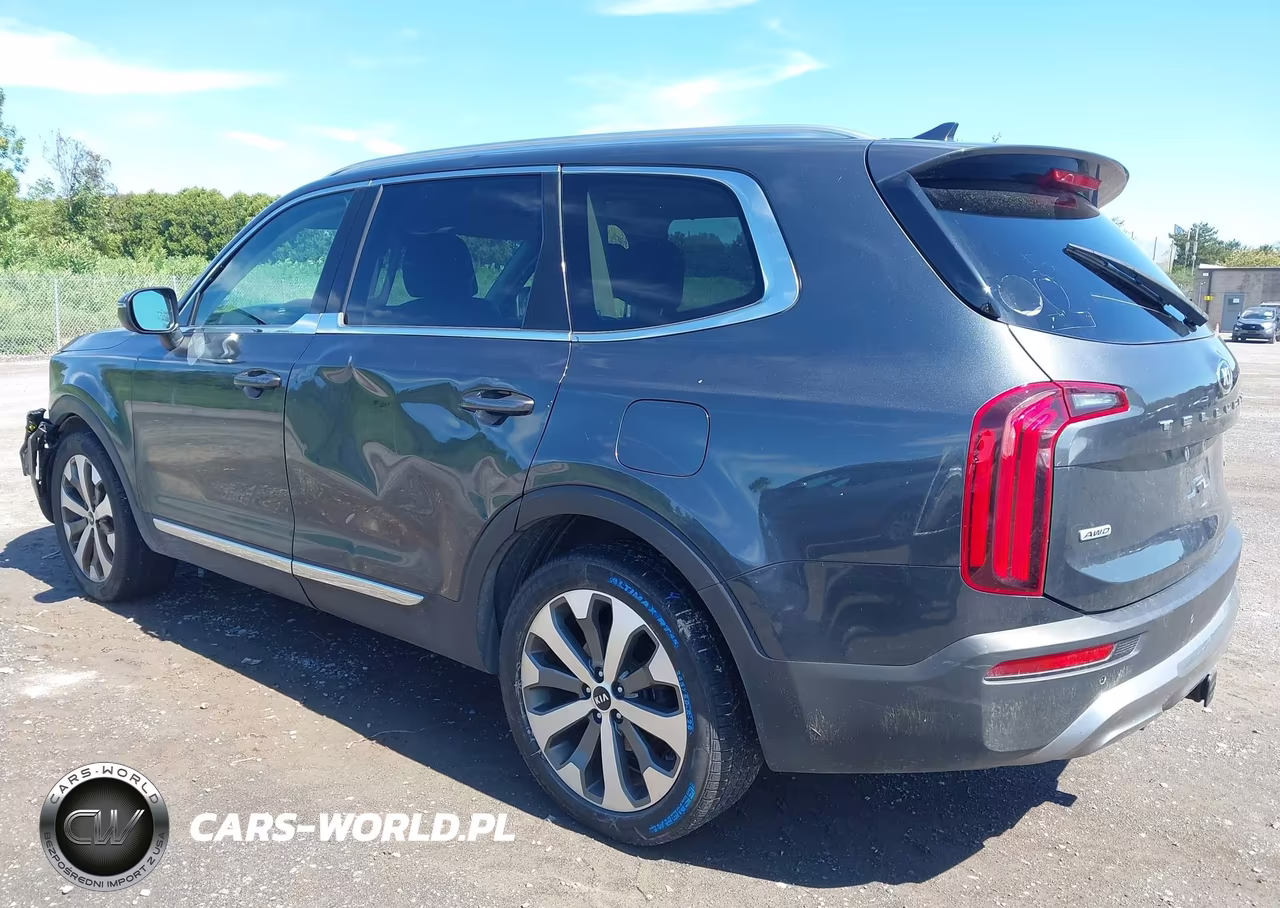 2021 Kia Telluride Ex VIN:5XYP3DHC1MG182156 - 3