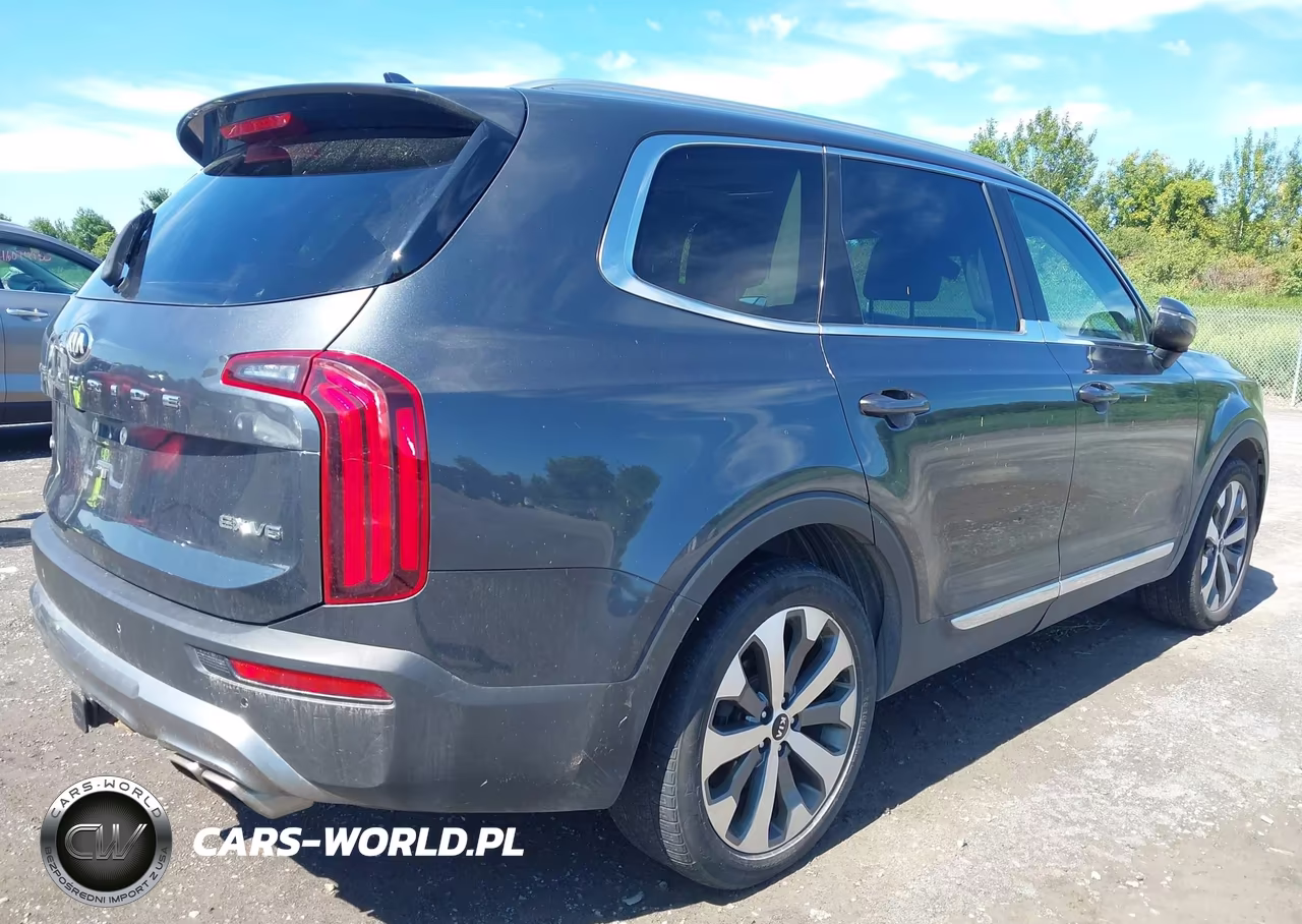 2021 Kia Telluride Ex VIN:5XYP3DHC1MG182156 - 4