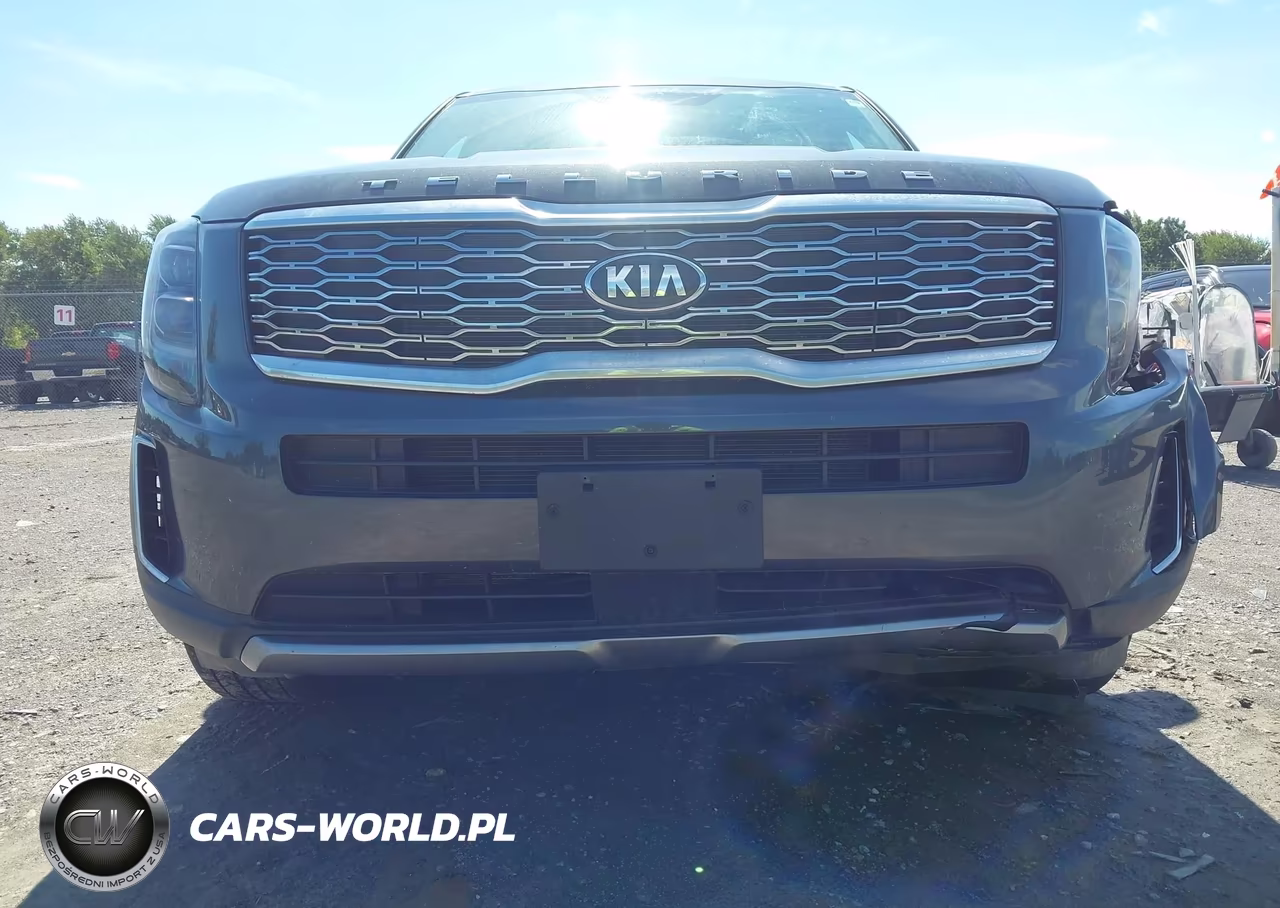 2021 Kia Telluride Ex VIN:5XYP3DHC1MG182156 - 6