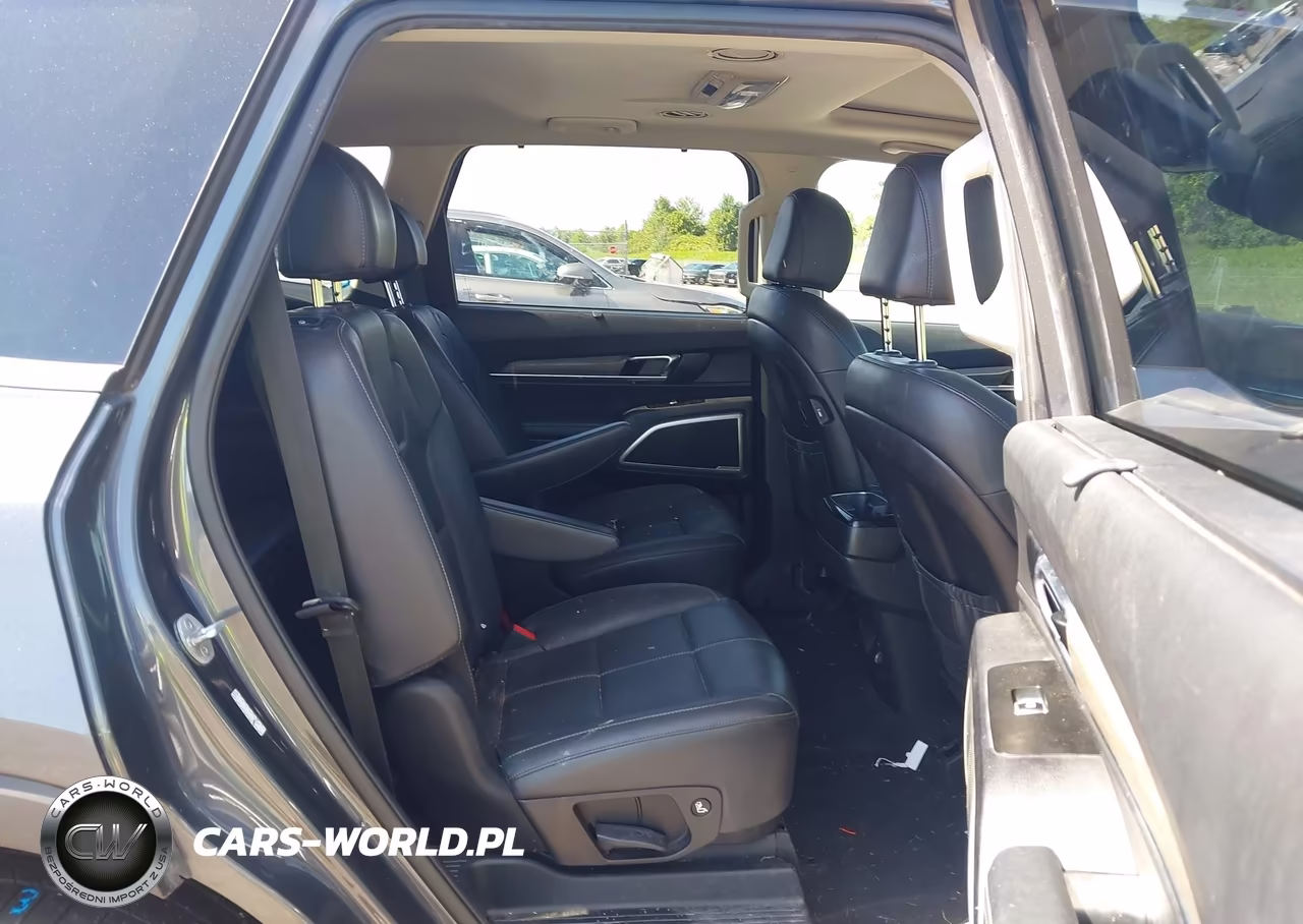 2021 Kia Telluride Ex VIN:5XYP3DHC1MG182156 - 8