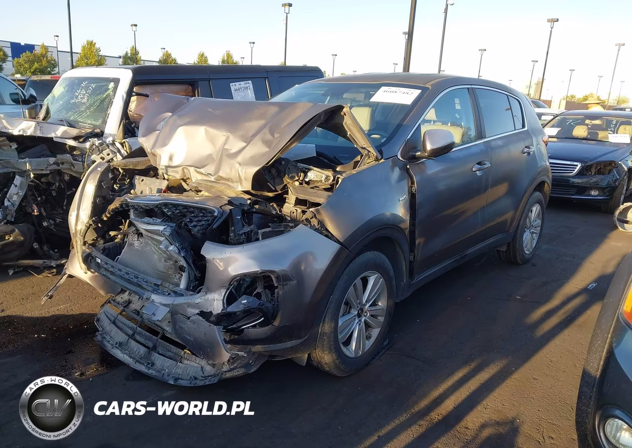 2017 Kia Sportage Lx VIN:KNDPMCAC9H7065770 - 2