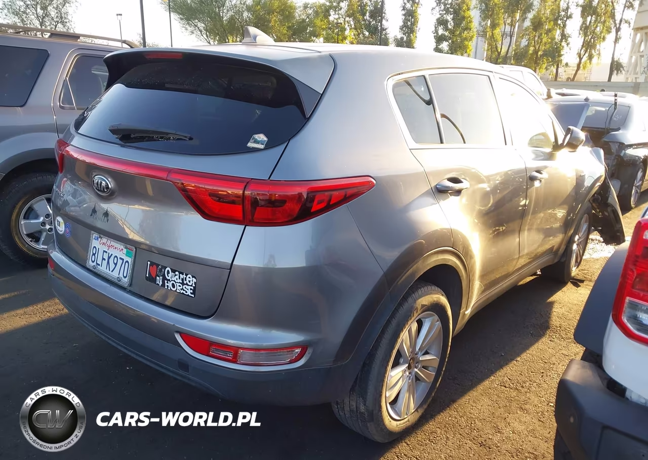 2017 Kia Sportage Lx VIN:KNDPMCAC9H7065770 - 4