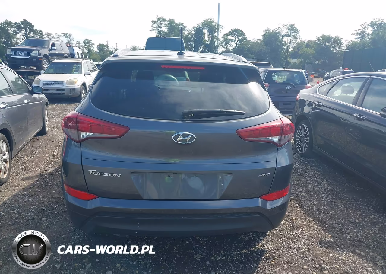 2017 Hyundai Tucson Se VIN:KM8J3CA46HU288668 - 16