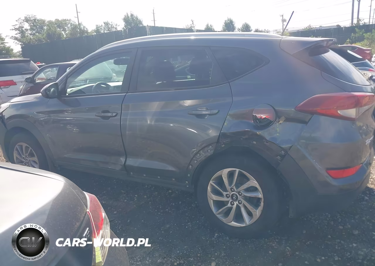 2017 Hyundai Tucson Se VIN:KM8J3CA46HU288668 - 17