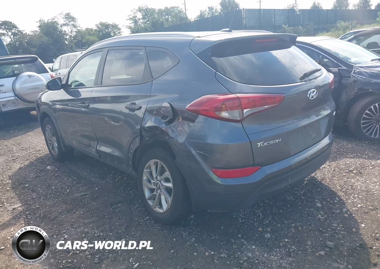 2017 Hyundai Tucson Se VIN:KM8J3CA46HU288668 - 3