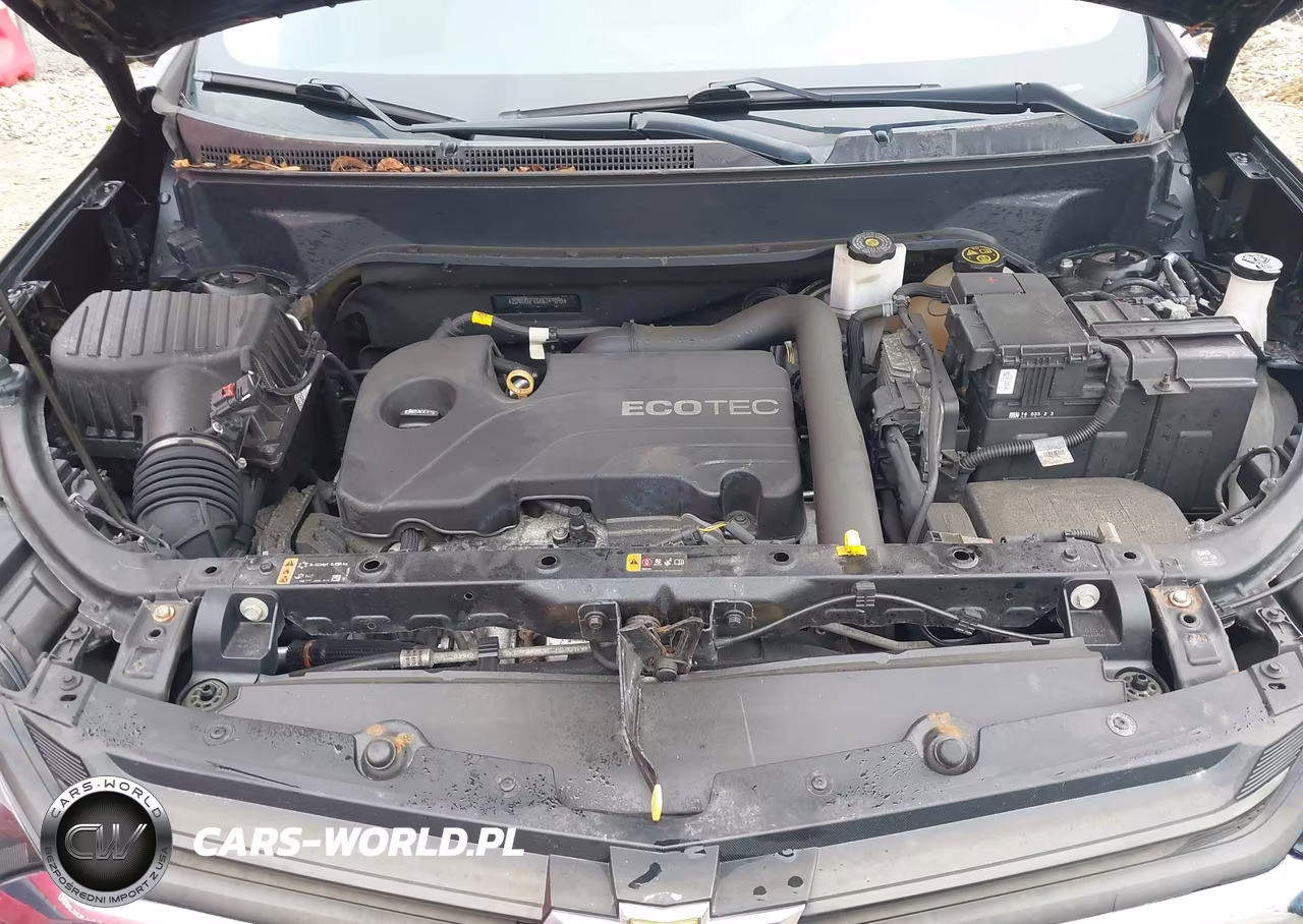 2019 Chevrolet Equinox Ls VIN:2GNAXHEV6K6149095 - 10