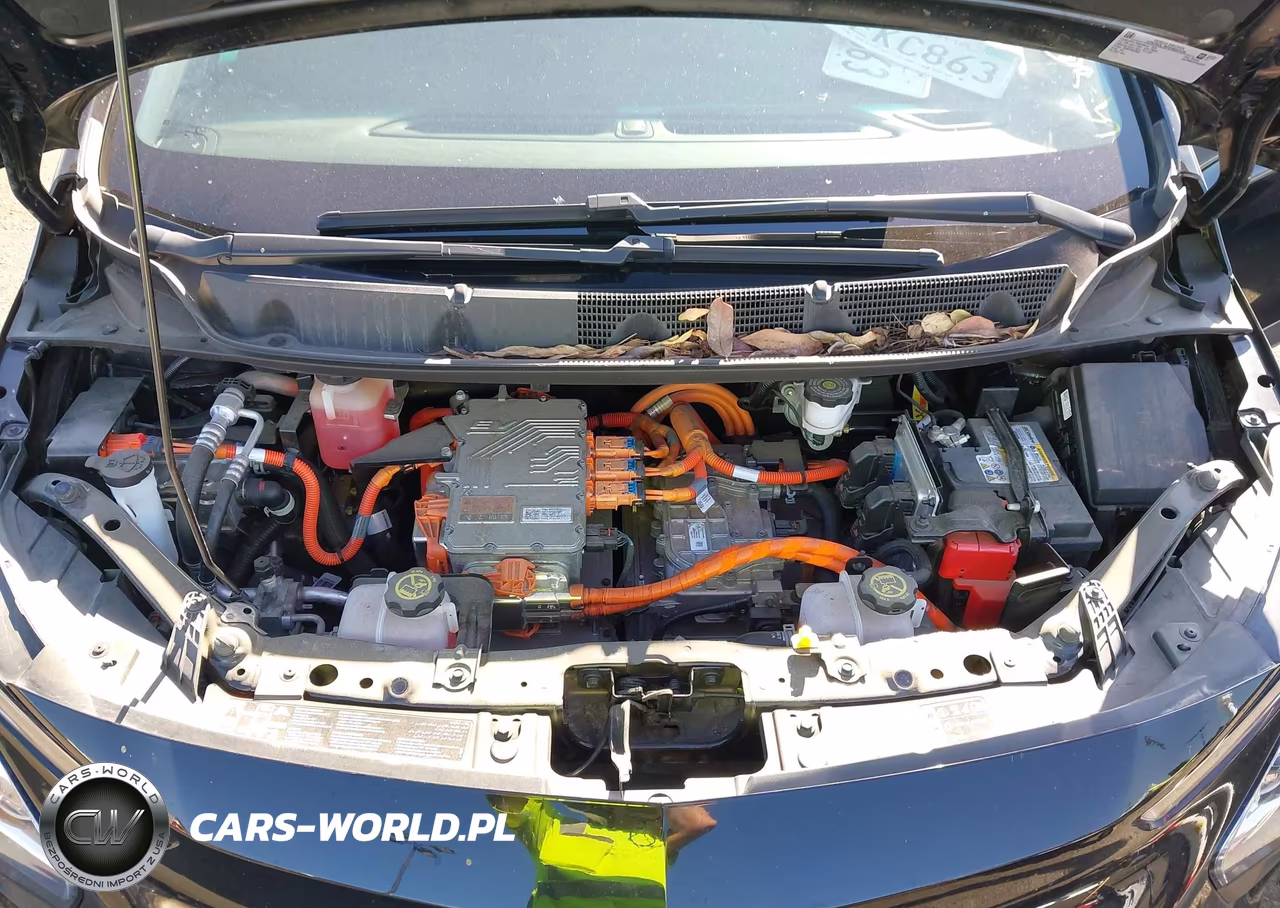 2023 Chevrolet Bolt Ev Fwd 1Lt VIN:1G1FW6S0XP4122031 - 10