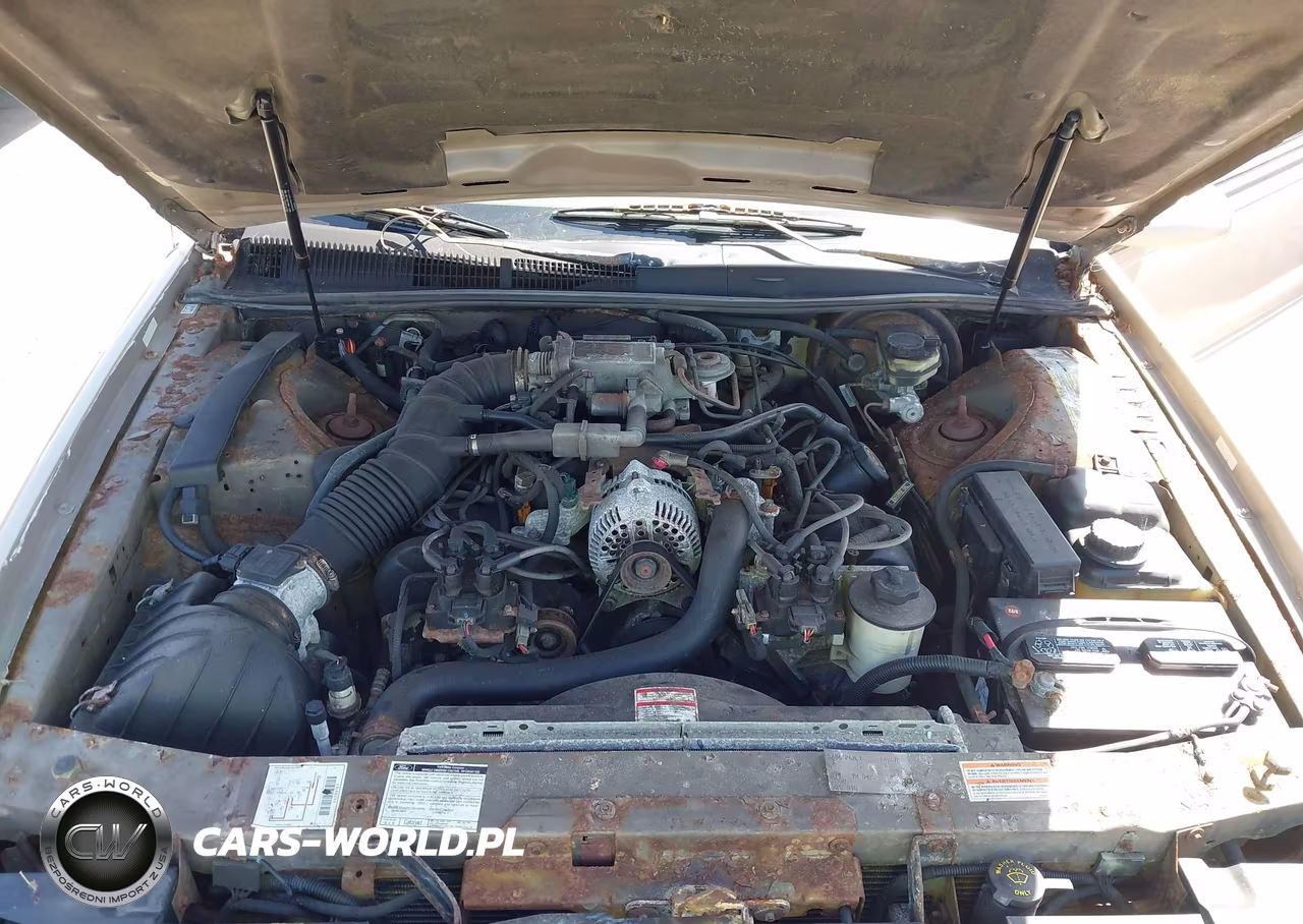 1997 Ford Thunderbird Lx VIN:1FALP62W9VH149678 - 10
